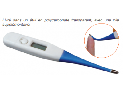 Thermometer Digivet 12.5cm