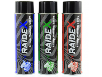 RAIDEX S