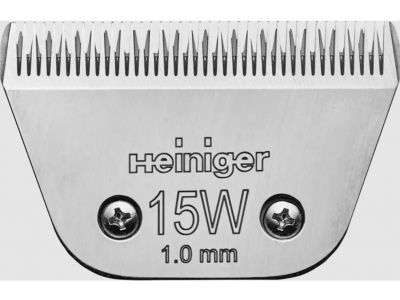 15W