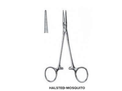 Halsted Mosquito