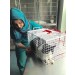 Trap-transfer-in-use-Afghanistan