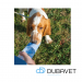 DRINKFLES BLAUW VOOR HONDEN 450ML (3)
