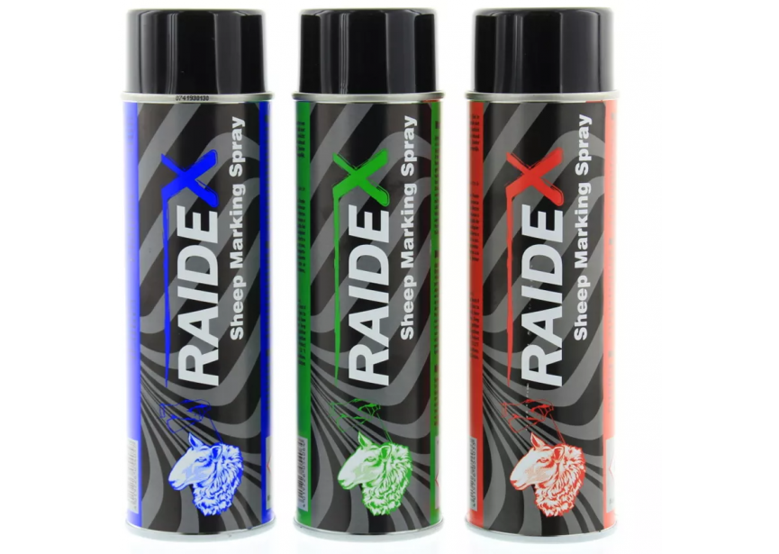 RAIDEX S