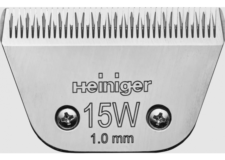 15W