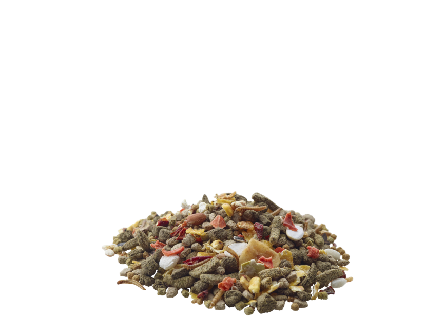 5410340614228food