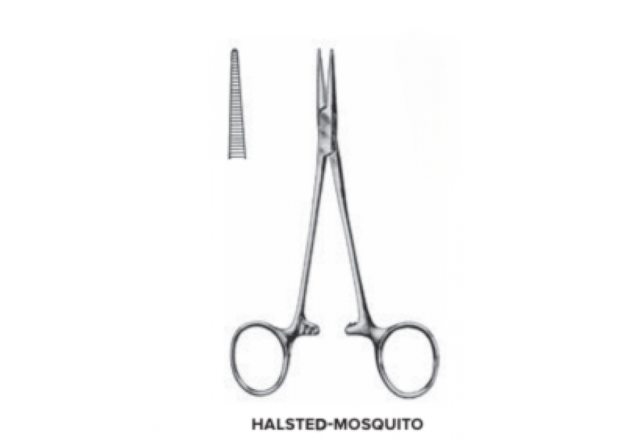 Halsted Mosquito