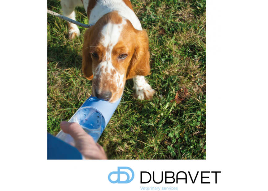 DRINKFLES BLAUW VOOR HONDEN 450ML (3)