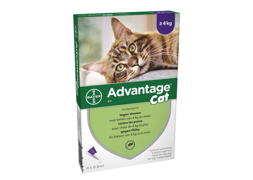 Advantage-kat-vanaf-4kg 2018 (Klein)